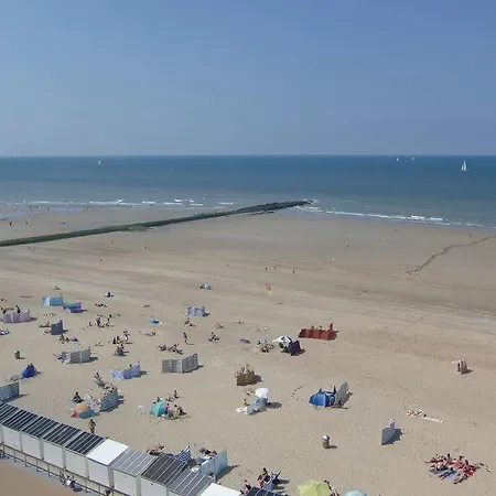 Zeezicht Vii Ostend